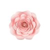 stThumbnailPlugin (19).jpg